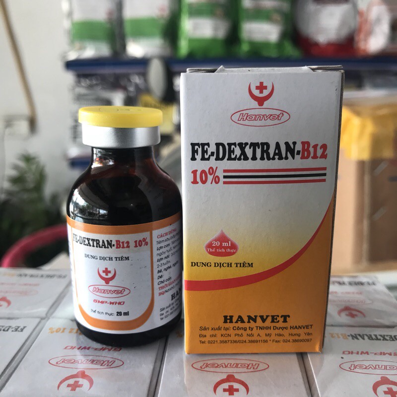 Bổ sung sắt cho lợn con sau đẻ 3 ngày