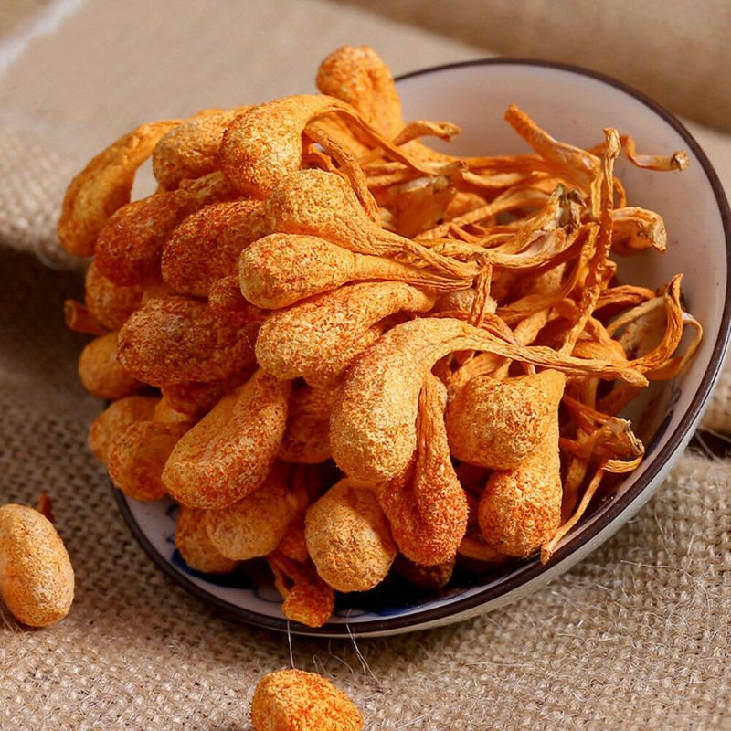 NỤ BÔNG ĐÔNG TRÙNG HẠ THẢO