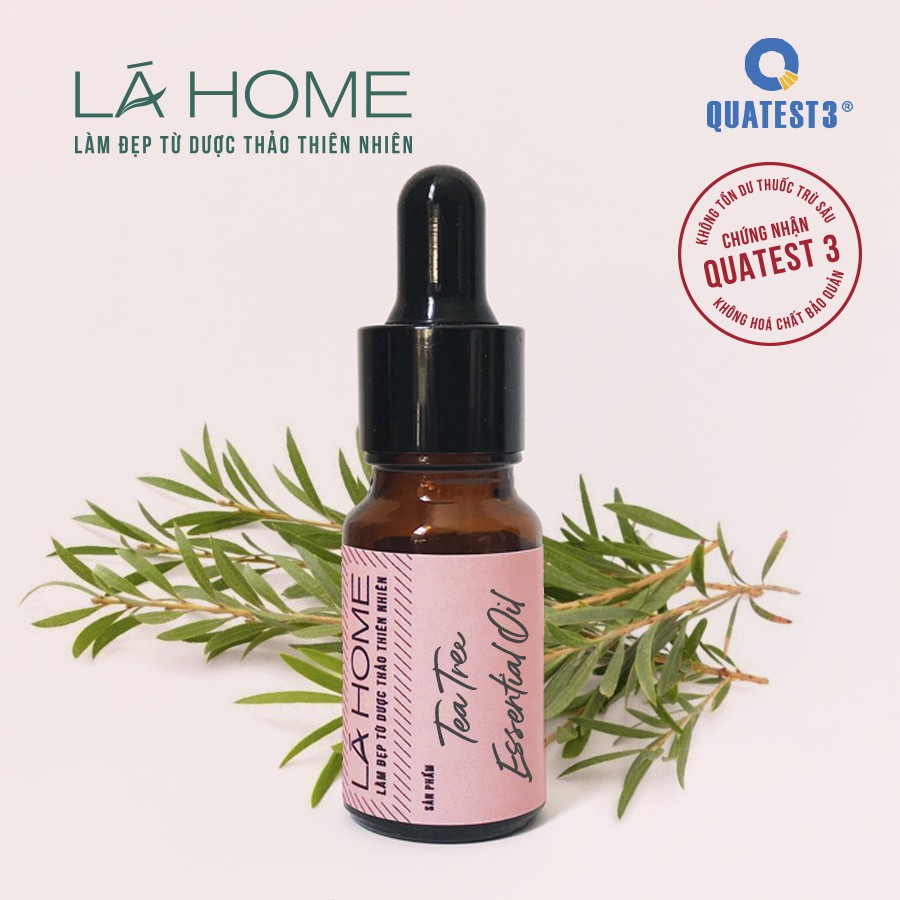 Tinh Dầu Tràm Trà trị mụn Nguyên chất 100% - Tea Tree Essential Oil