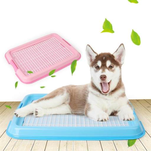 [LOẠI TỐT] khay vệ sinh chó lớn và chó nhỏ mọi lứa tuổi - Khay vệ sinh huấn luyện cho chó đi vệ sinh hình chữ nhật dẹp