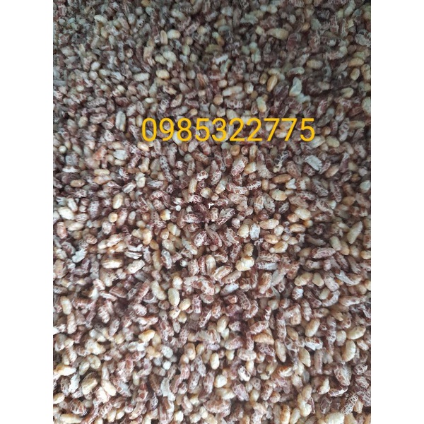 COMBO 10KG GẠO LỨT SẤY GIÒN NGUYÊN VỊ