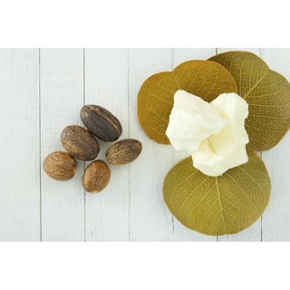 Hộp 100 gam bơ cacao tinh khiết
