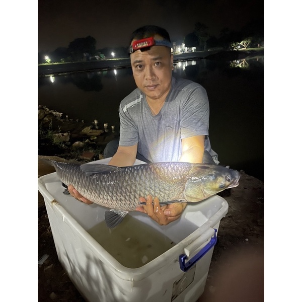 ComBo Săn Trắm Đen Câu Đài Cuồng Lang