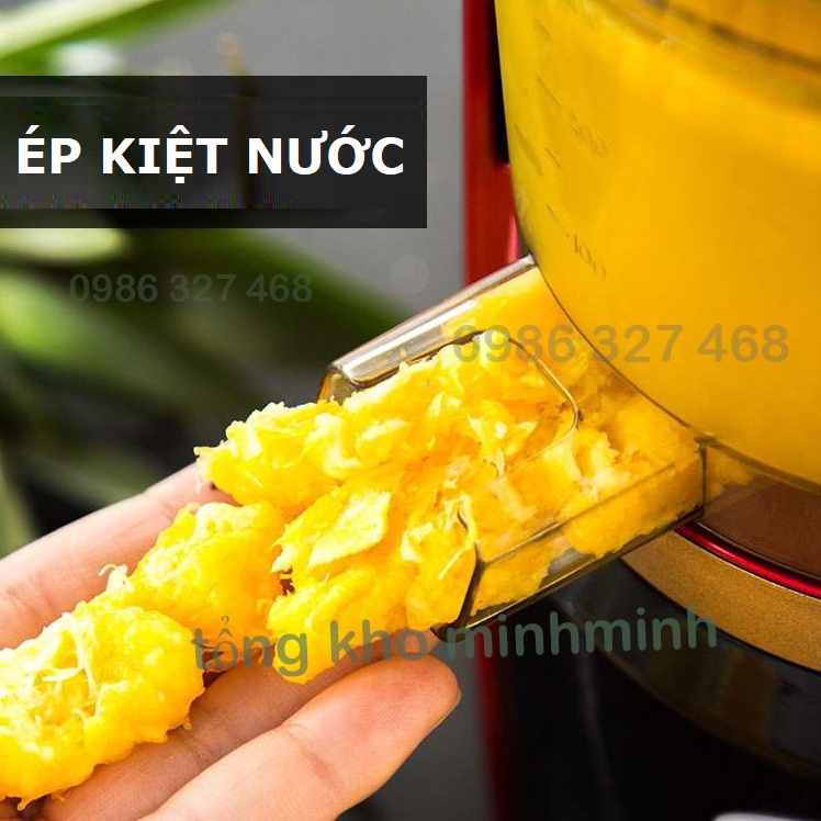 Máy ép chậm mini, Máy ép chậm củ quả NINESHIELD chính hãng - hàng nhập cao cấp