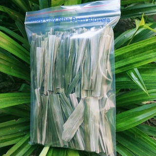 Lá dứa - lá nếp sấy khô