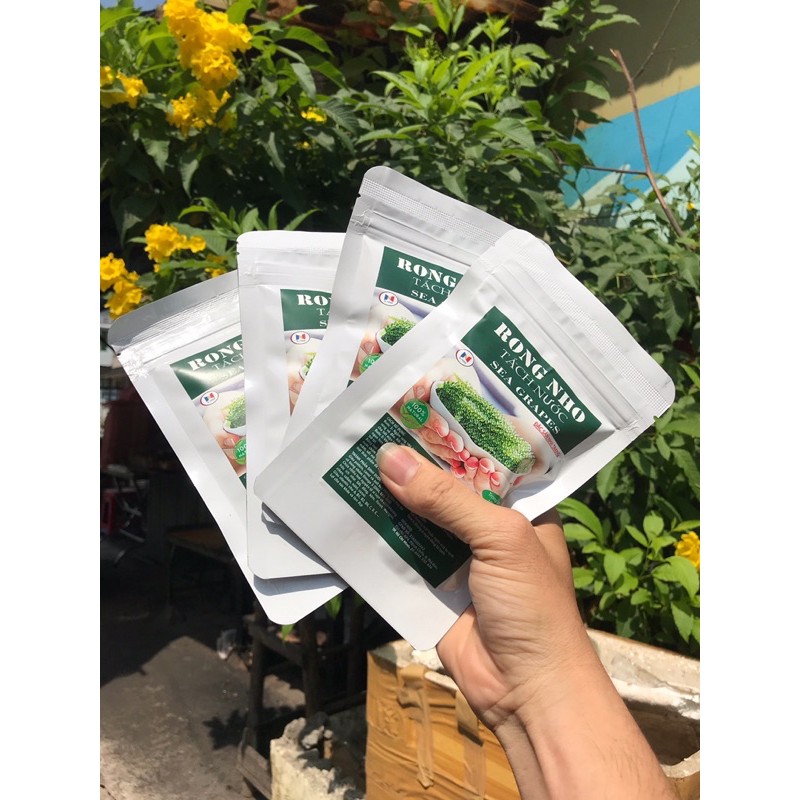 💘 𝑭𝑹𝑬𝑬𝑺𝑯𝑰𝑷 💘 Rong nho sea việt hộp 220gram/11 gói - Rong nho tách nước | BigBuy360 - bigbuy360.vn