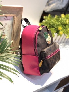 🆘RẺ VÔ ĐỊCH🆘Balo Coach mini