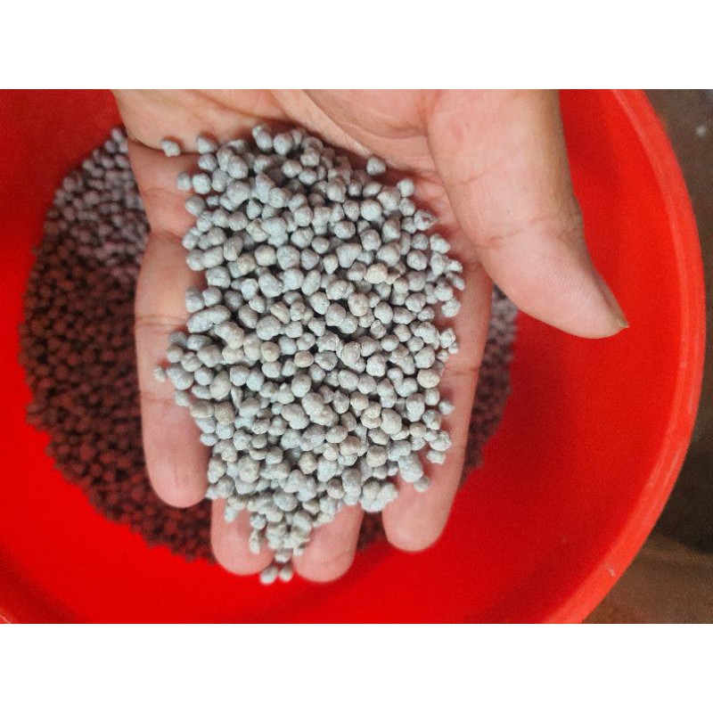 50/100g/200g Phân Chì Tan Chậm Hi Control 14-13-13 180TYPE Phân tan chậm cho xương rồng, sen đá, lan và cây cảnh