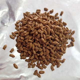 [NOWSHIP] Catseye Thức ăn hạt cho mèo 500g