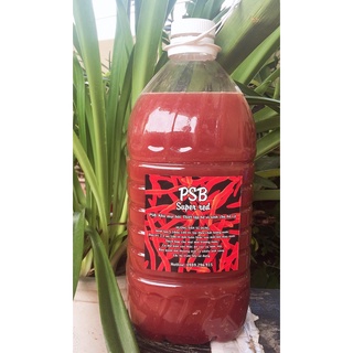 (Cá cảnh- cá Koi) (1000ml)men psb