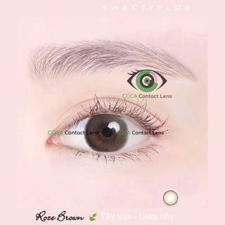 Lens giãn nhẹ ROZE bán chạy nhất shop