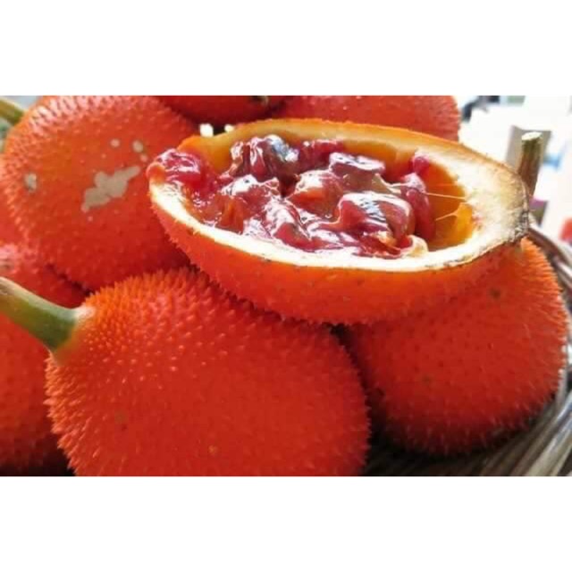 Dầu gấc