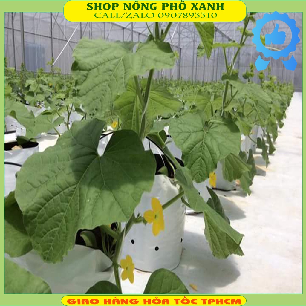 1kg Túi Pe Trắng Đen 40cm X 20x20 Trồng Dưa Lưới, Trồng Cây, Trồng Rau Màu, 1kg = 32 Đến 34 Cái