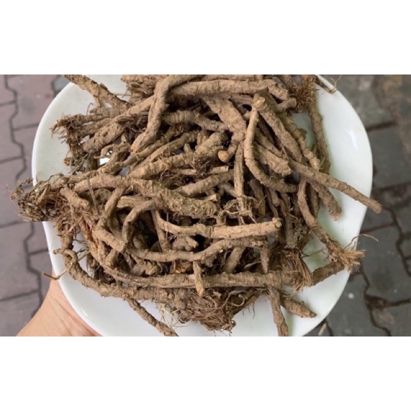 PHÒNG PHONG Loại 1