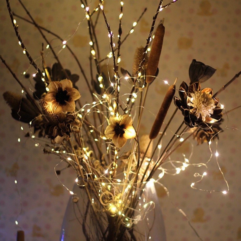 Dây đèn led đom đóm dài 2 mét trang trí nhà cửa, phòng khách ,lễ tết dùng pin AA