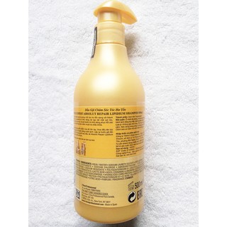 Dầu gội L'oreal 500ml