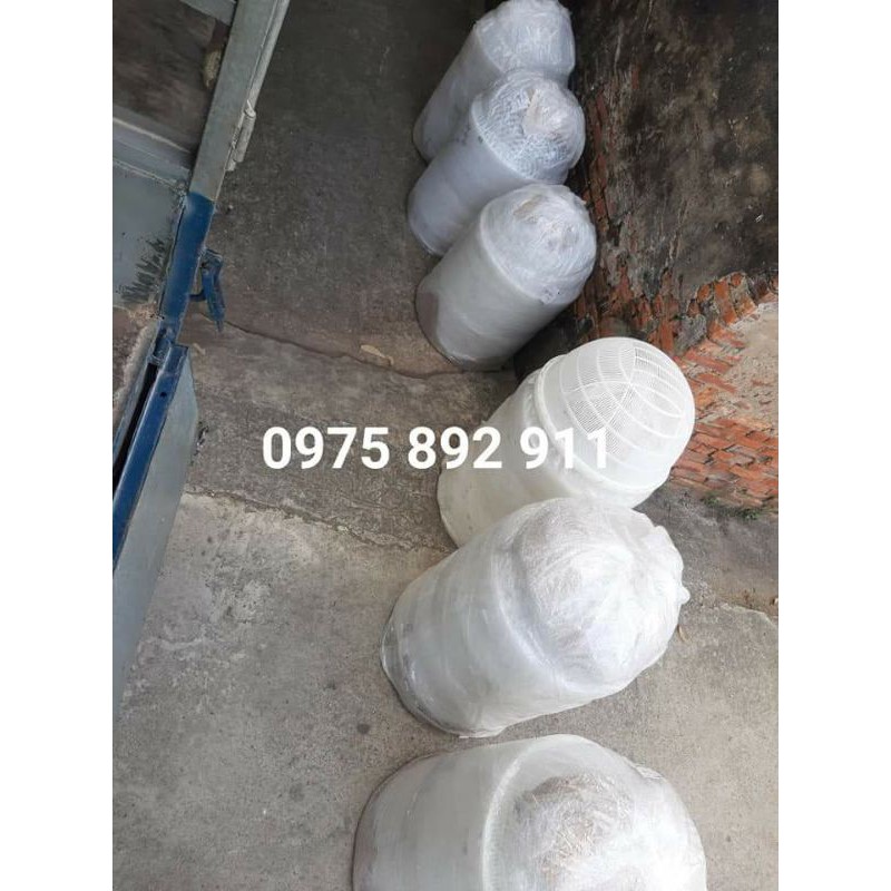 RỔ LỌC CÁ GIỐNG