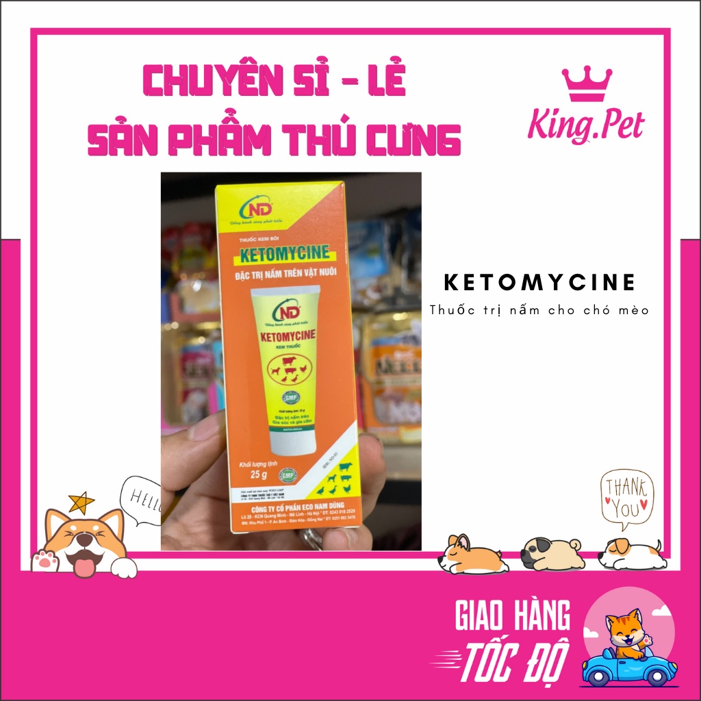 KETOMYCINE- THUỐC BÔI NẤM CHO CHÓ MÈO