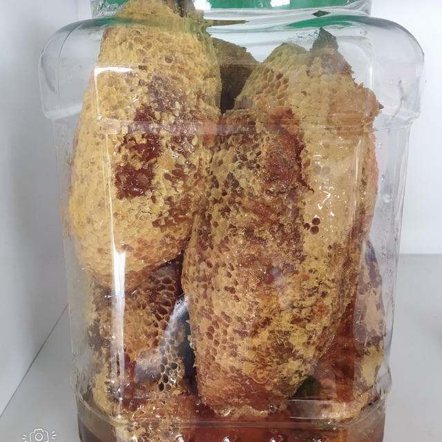 Mật ong rừng đắc lắc( ong ruồi cả sáp)