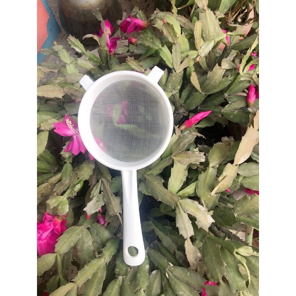 Rây lọc nấm,kombucha, nấm nước