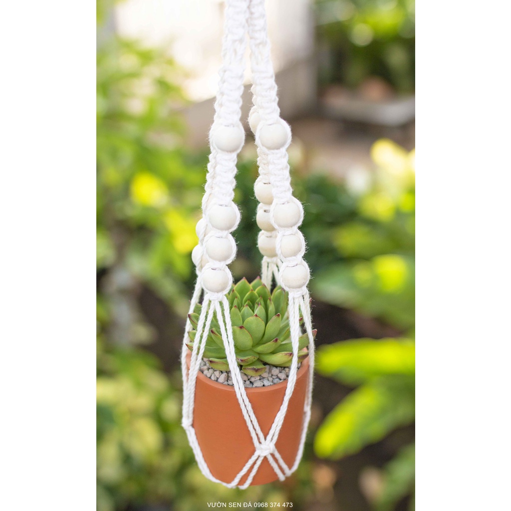 Dây treo chậu cây trang trí Macrame - MS: 08