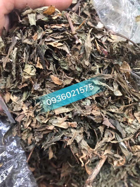 🌿Lá đinh lăng khô