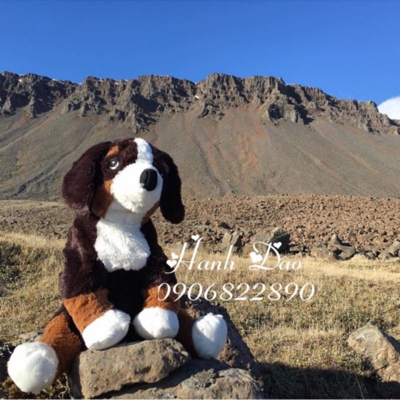 Chó bông HOPPIG IKEA100% INDONESIA