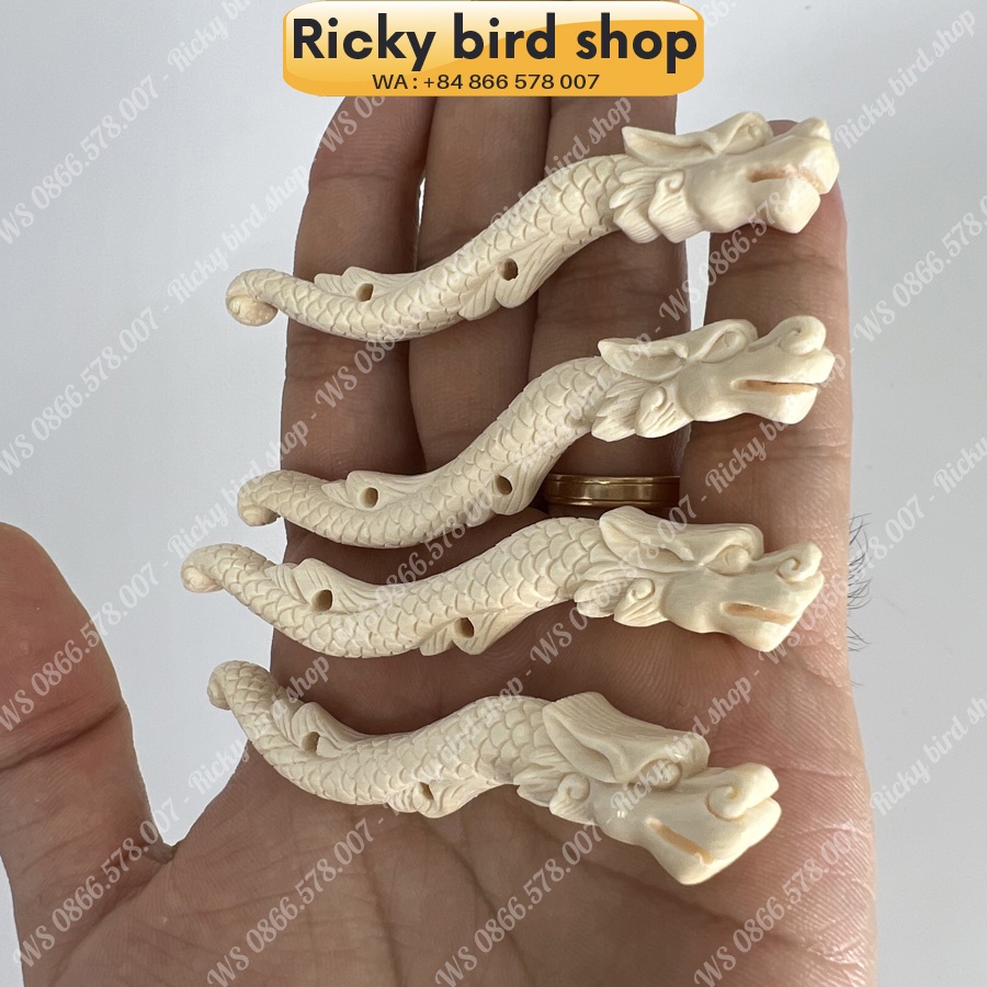 Da-chong legs - Dragon design (R) - Phụ kiện chim Ricky bird shop