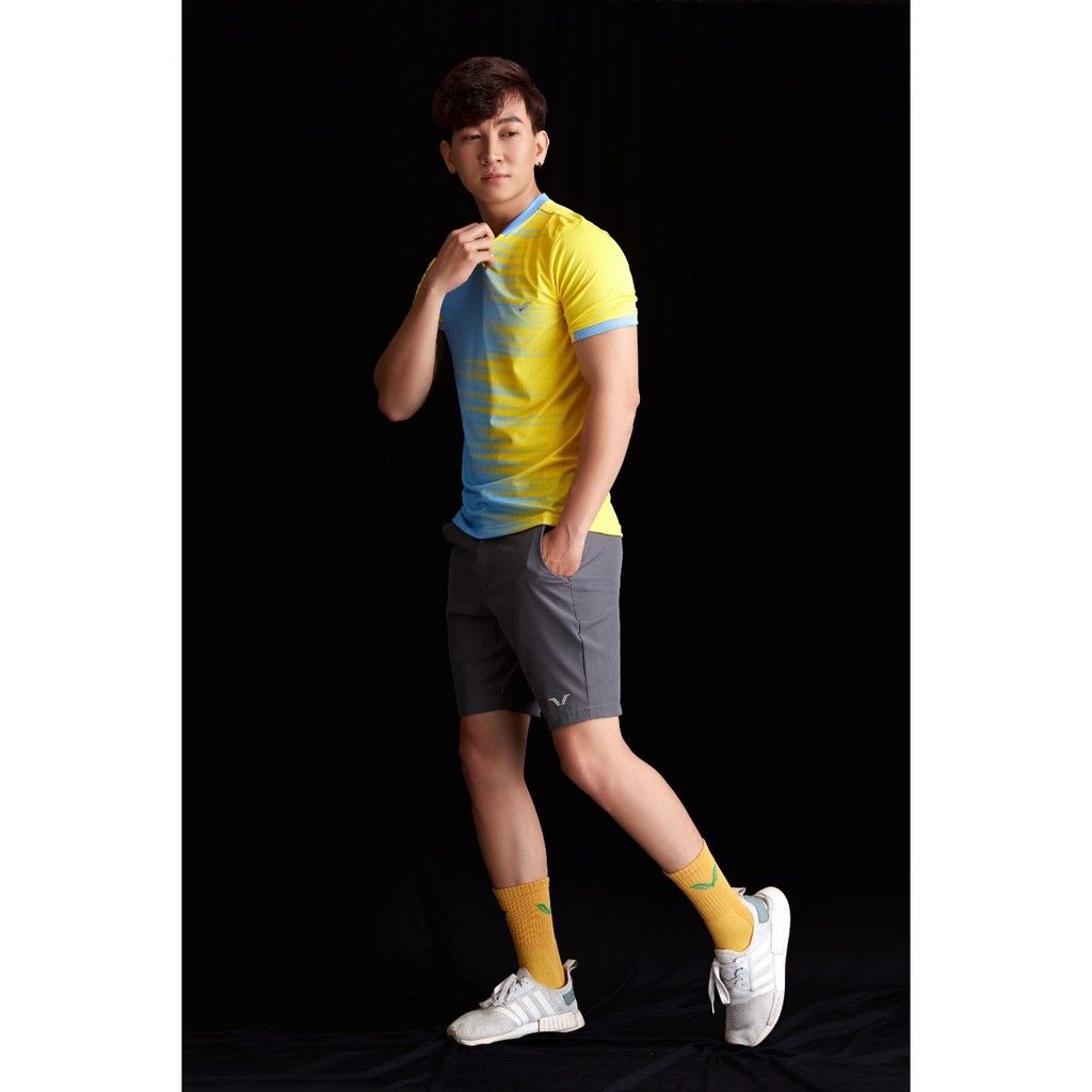 Áo Cầu Lông Nam Cổ Tròn AVT06 Vina Sport- Lapi VN Áo Tập Gym Tennis , Chất Thun Thấm Hút Mồ Hôi, Thoáng Mát, Full Size