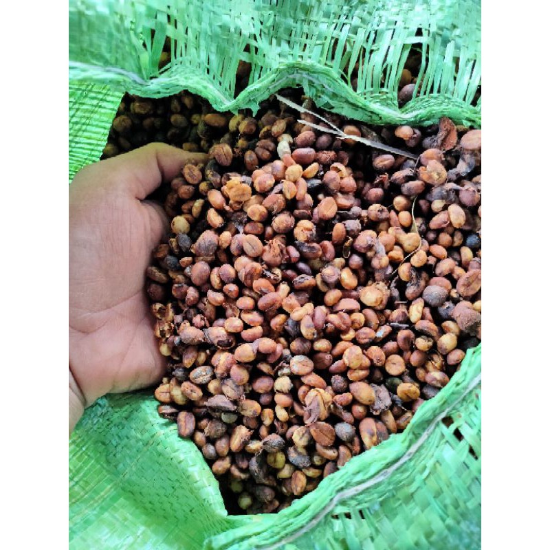 Cafe nguyên chất robusta đặc biệt gói 500g | BigBuy360 - bigbuy360.vn