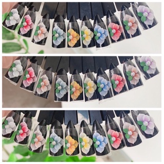 Hoa bột -hoa nails