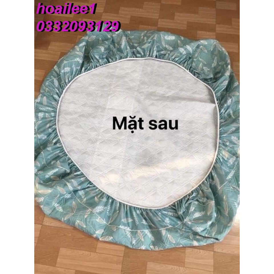 ga trải giường [FREE SHIP] ga trần bông ga chun nhiều kích thước