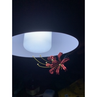 [Triền Hoa-Trâm Hoa Quấn] Bỉ Ngạn Hoa – Chanhua