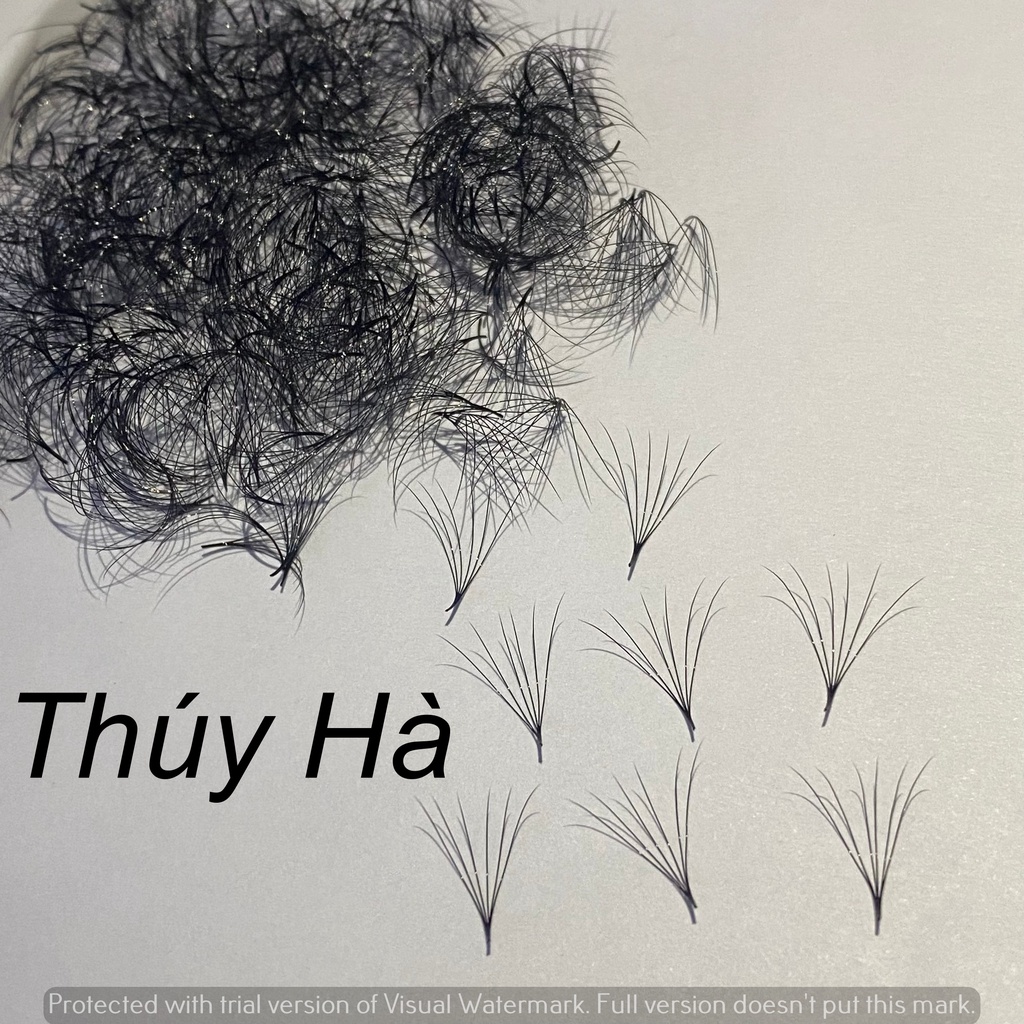 Mi fan 6d 1000fan Dày 0.07 - mi fan xuất khẩu_Mi Fan_Dụng Cụ Nối Mi_THÚY HÀ