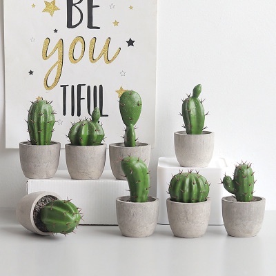 Chậu Cây Xương Rồng Giả - Kèm Chậu Giống Thật 99% Decor Để Bàn Học, Phụ Kiện Chụp Ảnh, Trang Trí Nhà Cửa, Sân Vườn