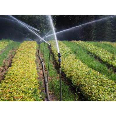 Đầu phun cánh đập 2 tia 908, bán kính 6m - HV Store 1012