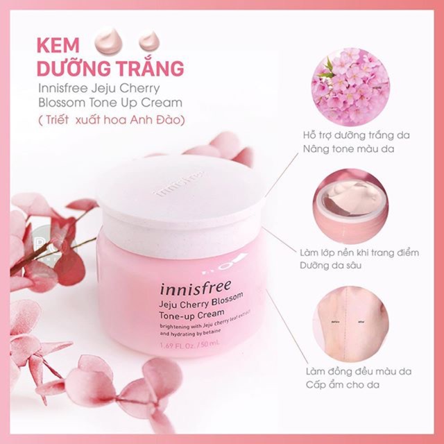 Combo 3 Gói Kem Đào Trắng Da Nâng Tone Innisfree Jeju Cherry Blossom Tone Up Cream 1ml