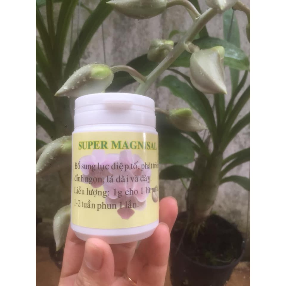 Super Magie Sulfat phát triển Đỉnh Ngọn CỰC MẠNH dạng 100g