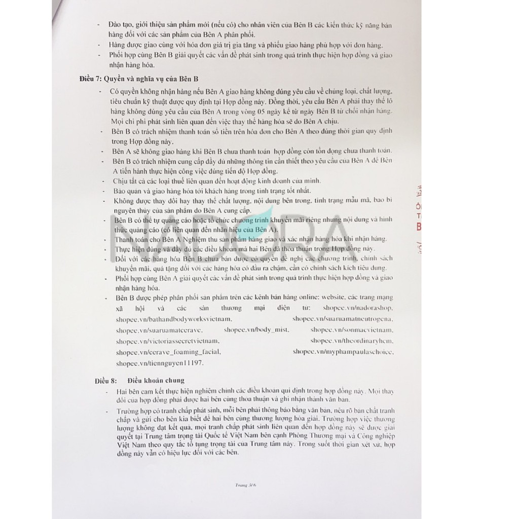 Tinh Chất Cấp Ẩm Dạng Dầu Timeless Argan Oil | BigBuy360 - bigbuy360.vn