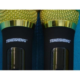 Bộ 2 micro không dây Temeisheng W-48