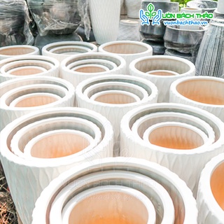 Chậu sứ trồng cây  SIZE L (Lòng 1)