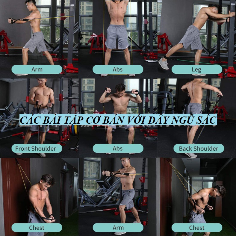 (Q1-HCM) DÂY NGŨ SẮC TẬP GYM TẠI NHÀ - BỘ DÂY KHÁNG LỰC ĐÀN HỒI CAO CẤP_CHẤT LIỆU CAO SU LATEX TỰ NHIÊN CO GIÃN RẤT TỐT