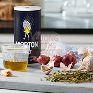 Muối ăn Morton Iodized Salt 737g