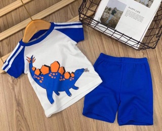 2 bộ Bé trai hàng xuất