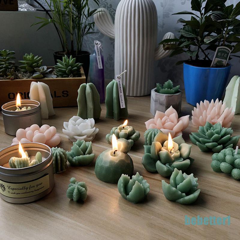 Khuôn Silicone Hình Cây Xương Rồng 3d Dùng Trang Trí Nhà Cửa