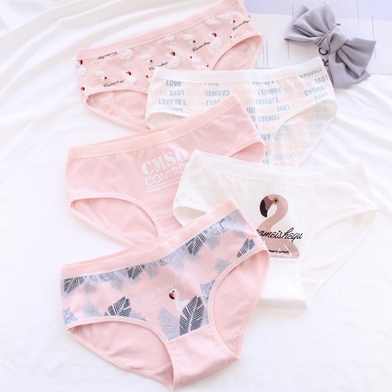 [Che Tên] [Có Size XL] SET 5 Quần Lót Bigsize Chất Cotton Mềm Cạp Thấp Cute Dễ Thương Cho Nữ TOPBRA | BigBuy360 - bigbuy360.vn