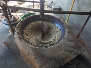 10kg hạt bí châu anh