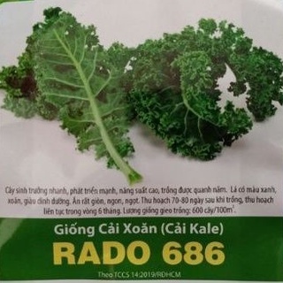 Hạt giống cải kale 5g rado 686