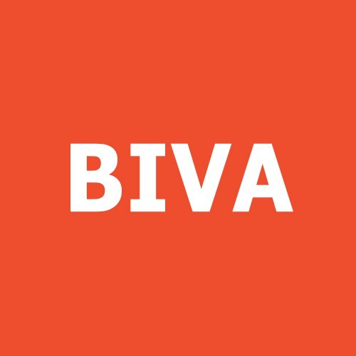 Biva Store