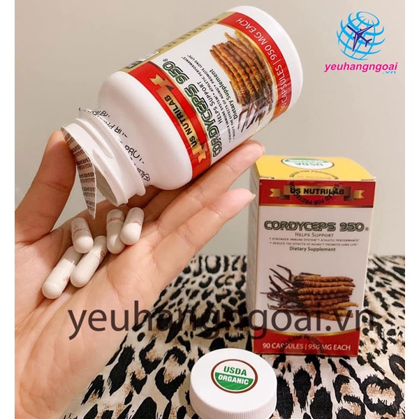 Đông trùng hạ thảo Cordyceps 950mg của Mỹ hộp 90 viên.